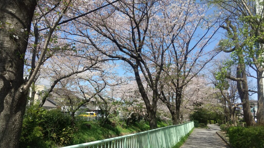 愛知県 名古屋市 北区 後用水跡街園の歩道