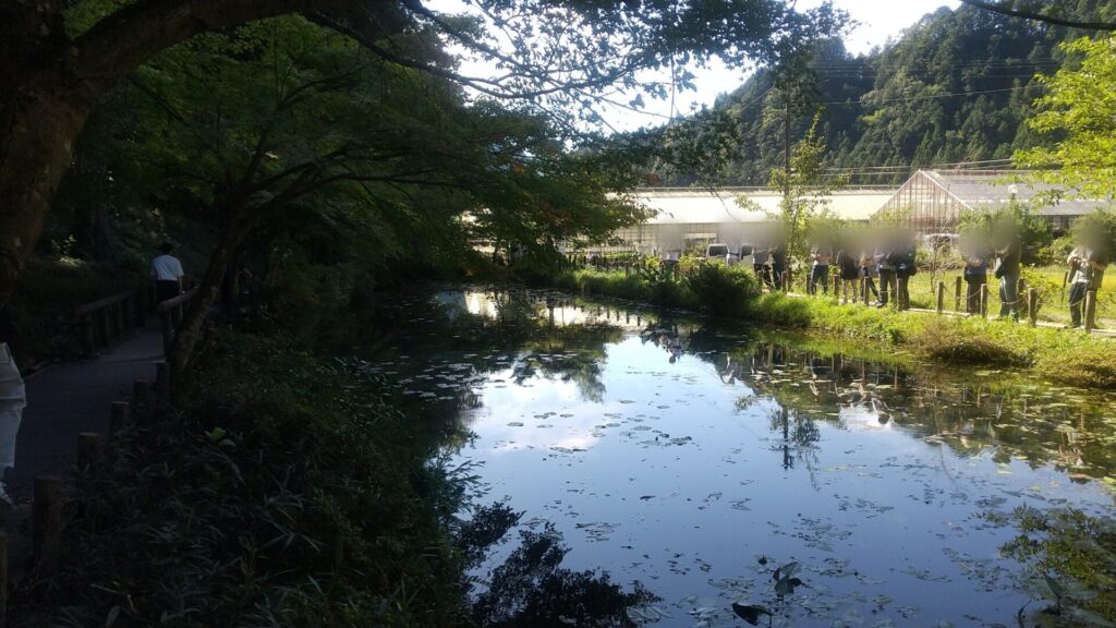 岐阜 関 板取 モネの池