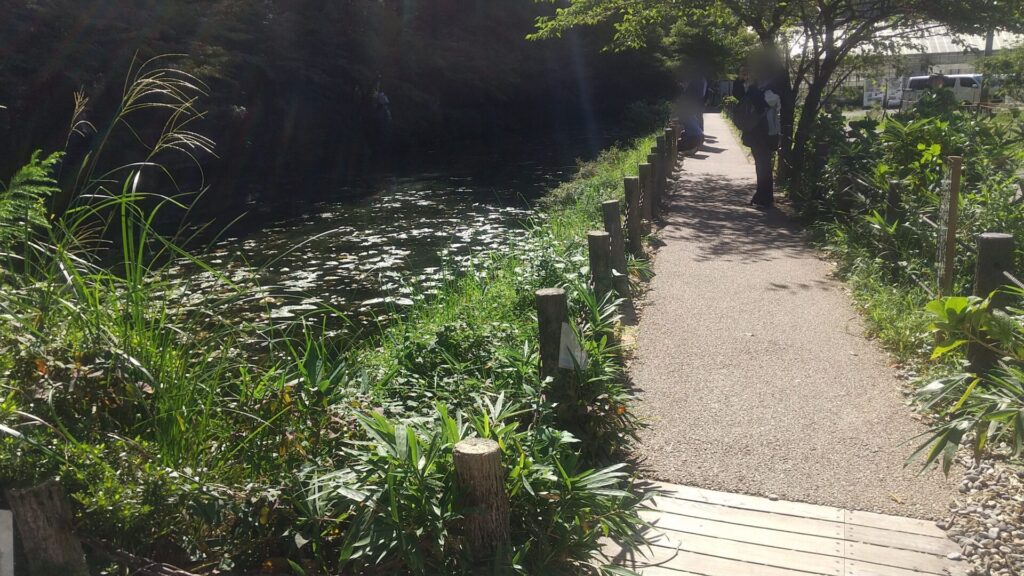 岐阜 関 板取 モネの池 歩道