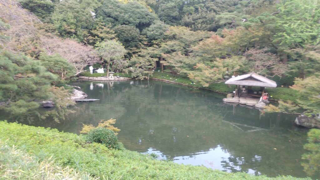 東京 港区 白銀台 レストラン 八芳園 庭園 池