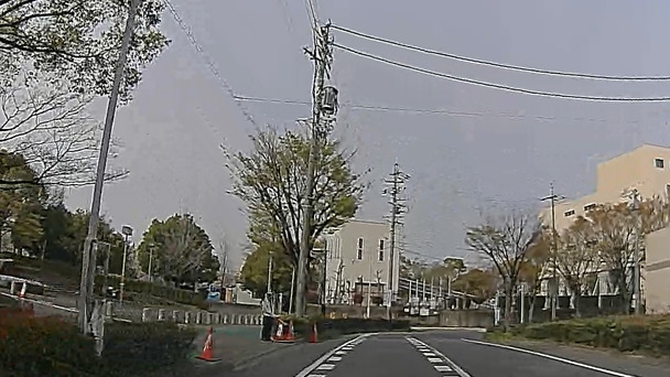 名古屋 荒子川公園 花見 桜 デイキャンプ場 バリアフリー 障害者 車椅子