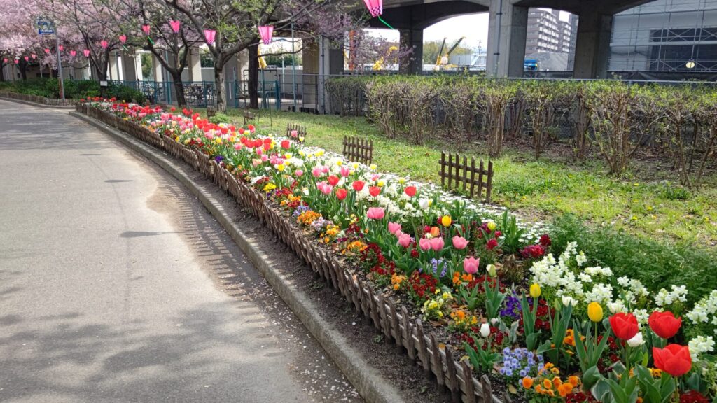 名古屋 荒子川公園 花見 桜 デイキャンプ場 バリアフリー 障害者 車椅子