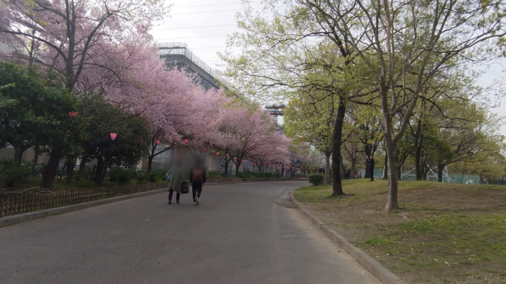 名古屋 荒子川公園 花見 桜 デイキャンプ場 バリアフリー 障害者 車椅子