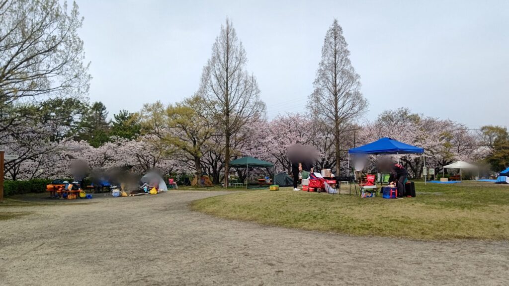 名古屋 荒子川公園 花見 桜 デイキャンプ場 バリアフリー 障害者 車椅子