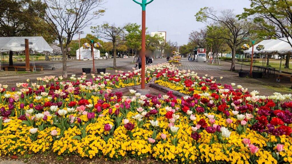 名古屋 荒子川公園 花見 桜 デイキャンプ場 バリアフリー 障害者 車椅子