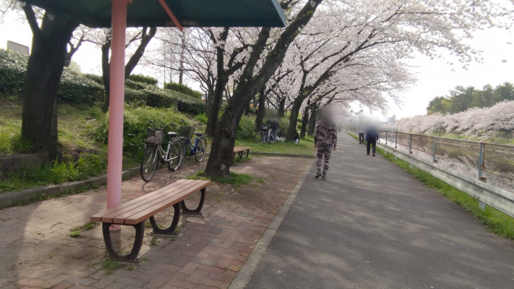 名古屋 荒子川公園 花見 桜 デイキャンプ場 バリアフリー 障害者 車椅子