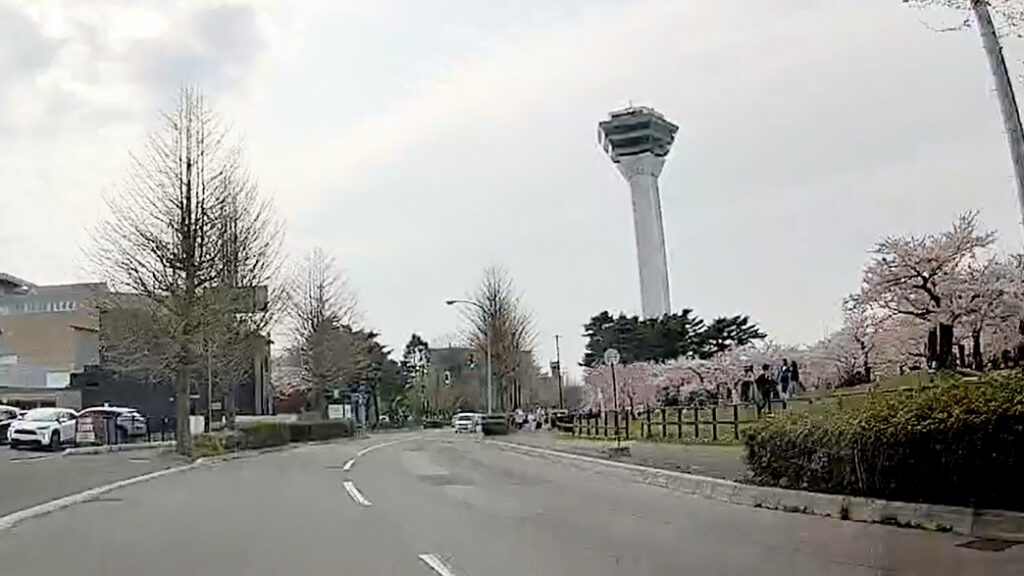 北海道 函館 五稜郭 桜 花見 バリアフリー 障害者 車椅子