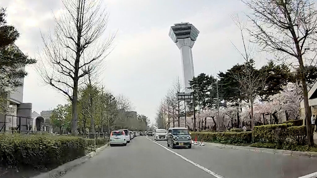 北海道 函館 五稜郭 桜 花見 バリアフリー 障害者 車椅子