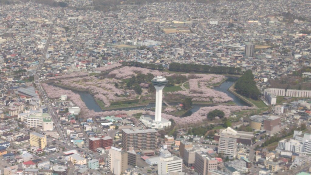 北海道 函館 五稜郭 桜 花見 バリアフリー 障害者 車椅子