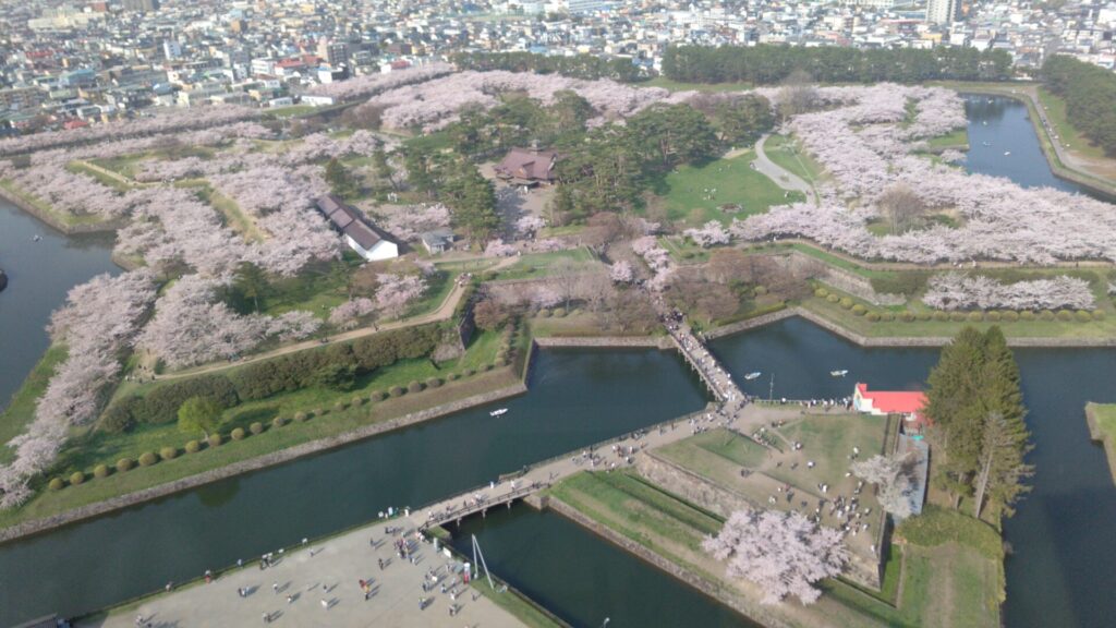 北海道 函館 五稜郭 桜 花見 バリアフリー 障害者 車椅子