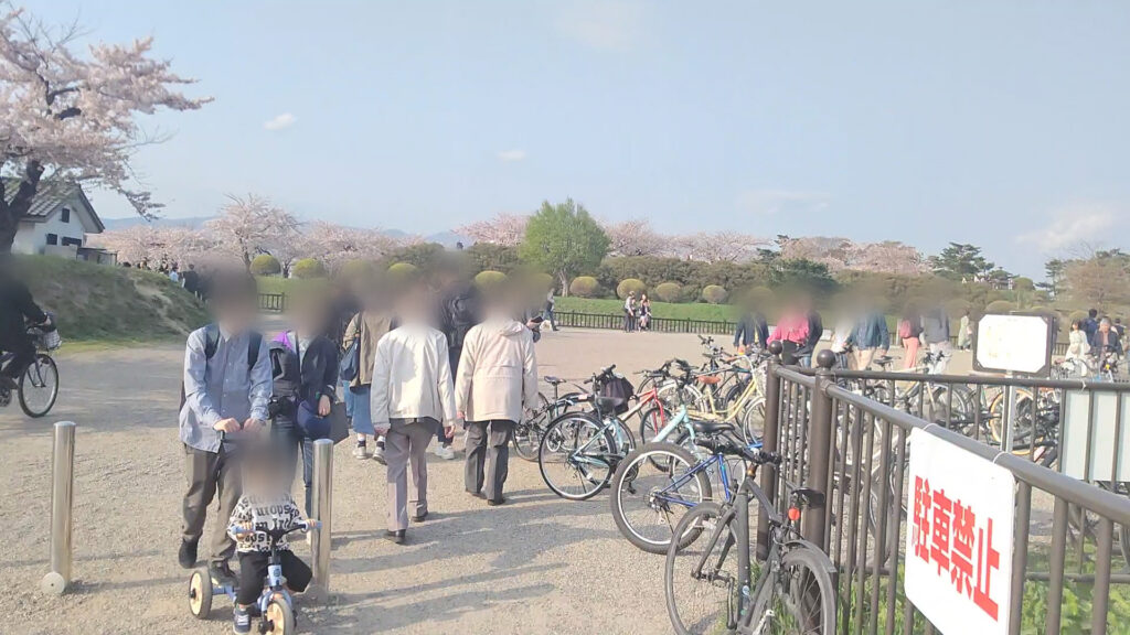 北海道 函館 五稜郭 桜 花見 バリアフリー 障害者 車椅子