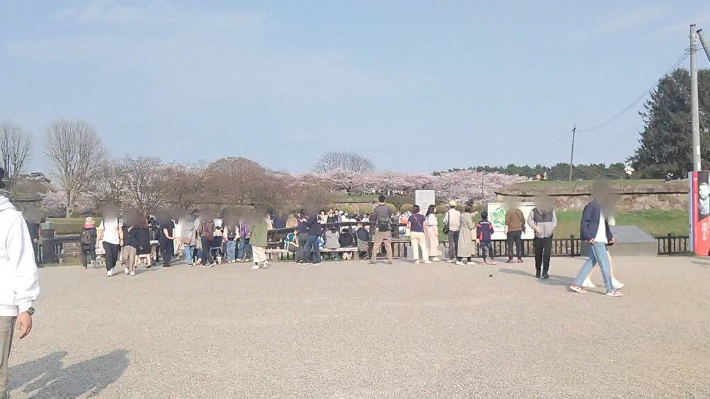 北海道 函館 五稜郭 桜 花見 バリアフリー 障害者 車椅子