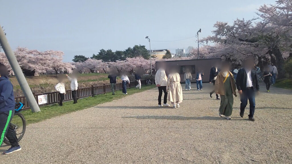 北海道 函館 五稜郭 桜 花見 バリアフリー 障害者 車椅子