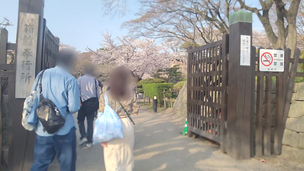 北海道 函館 五稜郭 桜 花見 バリアフリー 障害者 車椅子