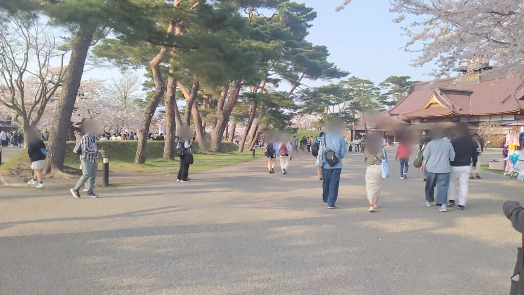 北海道 函館 五稜郭 桜 花見 バリアフリー 障害者 車椅子