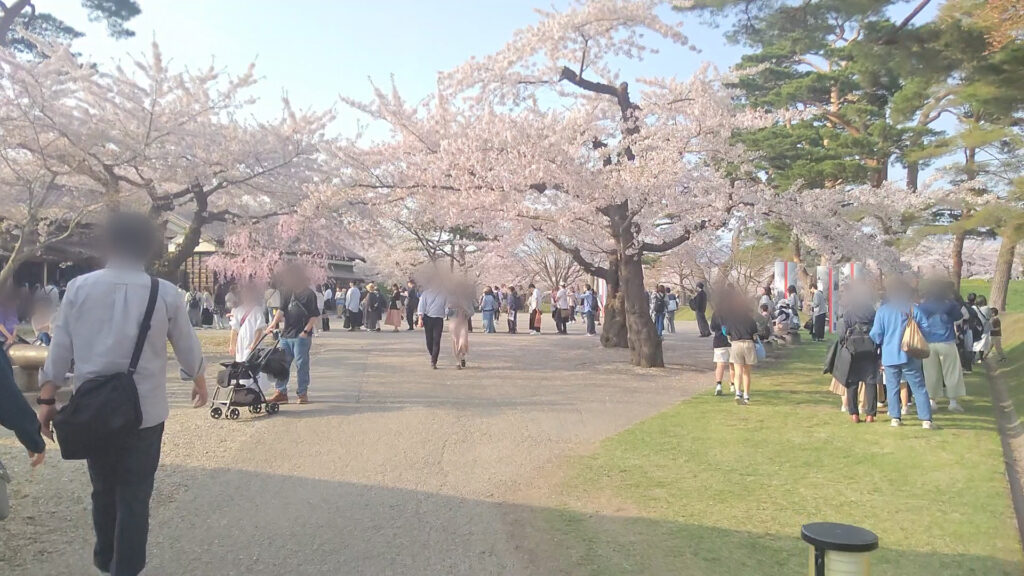 北海道 函館 五稜郭 桜 花見 バリアフリー 障害者 車椅子