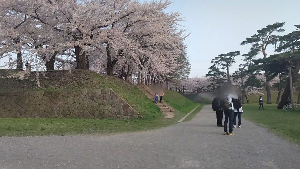 北海道 函館 五稜郭 桜 花見 バリアフリー 障害者 車椅子