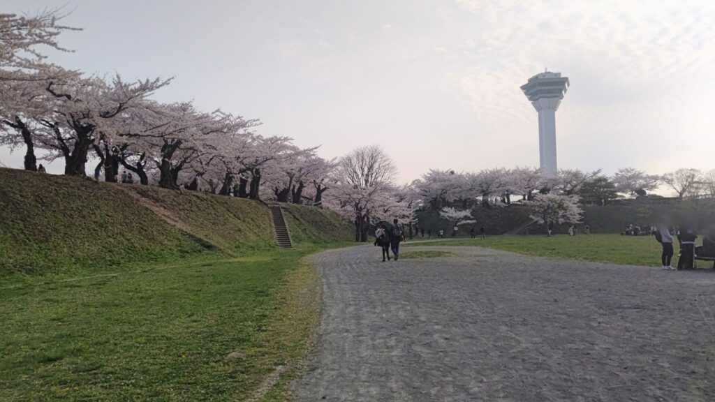 北海道 函館 五稜郭 桜 花見 バリアフリー 障害者 車椅子