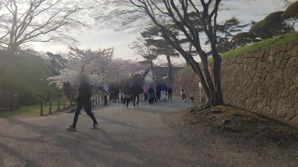 北海道 函館 五稜郭 桜 花見 バリアフリー 障害者 車椅子